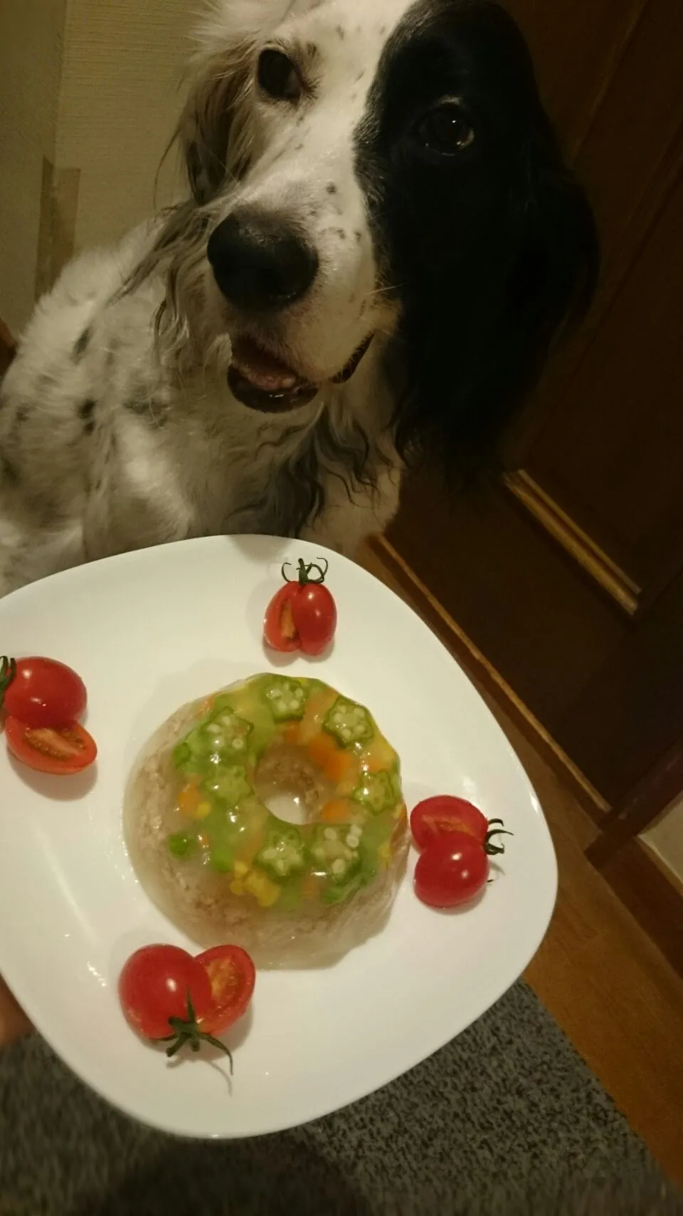 Snapdishの料理写真:わんこ用ですみませんm(_ _)mお誕生日プレート
🐶|がうママさん