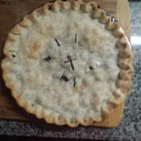 Snapdishの料理写真:Blueberry pie|Les Gazinskiさん