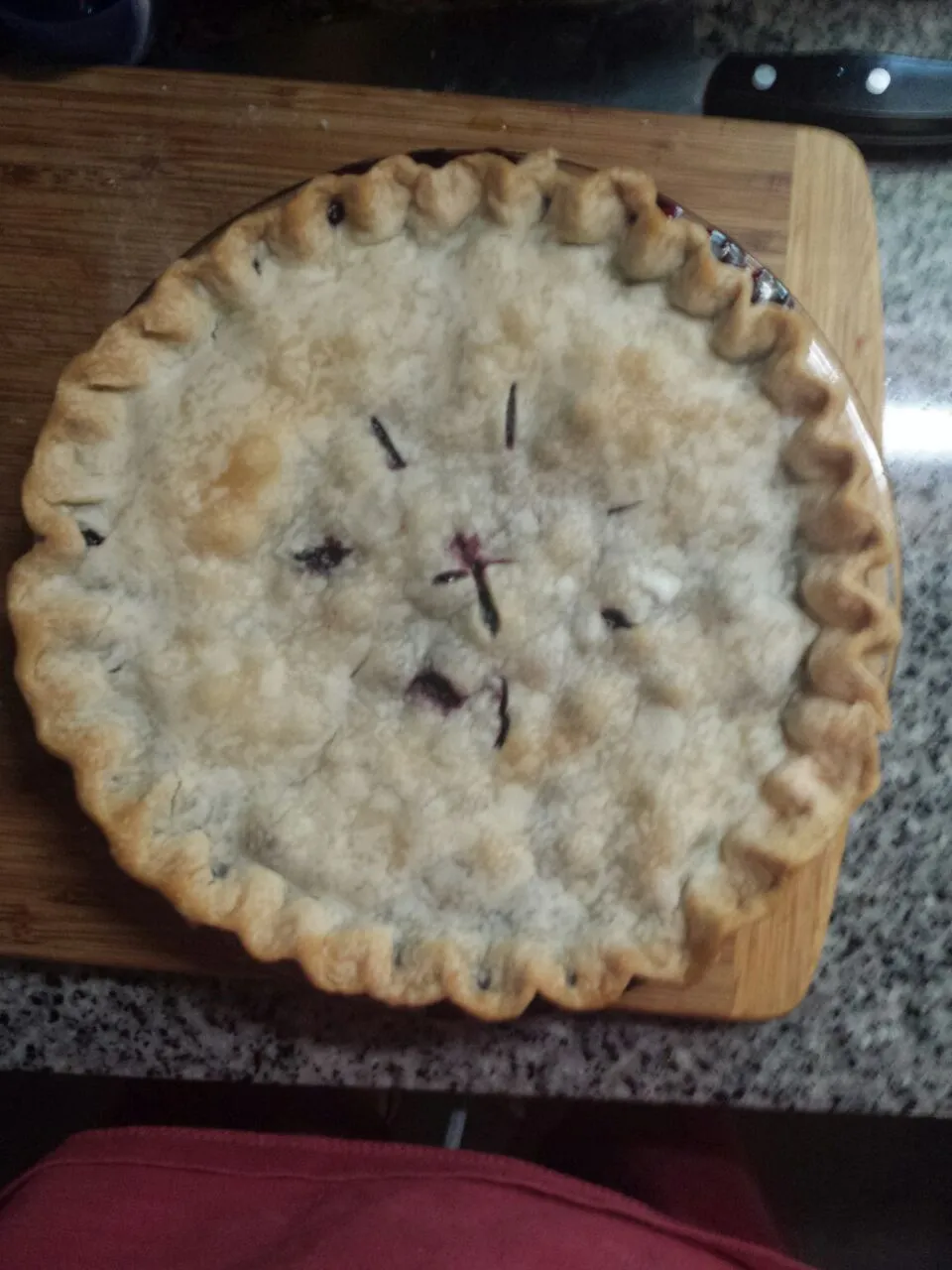 Snapdishの料理写真:Blueberry pie|Les Gazinskiさん