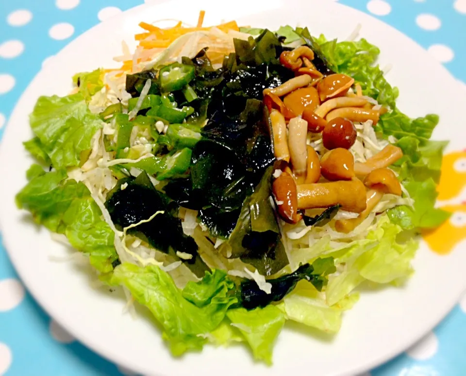 Mixed Vegetable Salad|Liezlさん