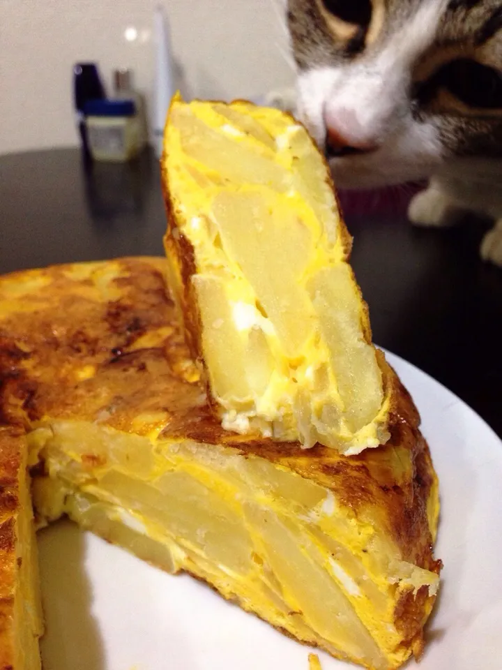 Tortilla de patatas スペイン風オムレツ|Alisaさん