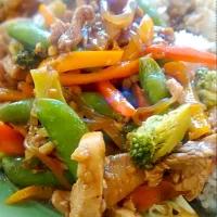 chicken veggies stir fry|mischii bearさん