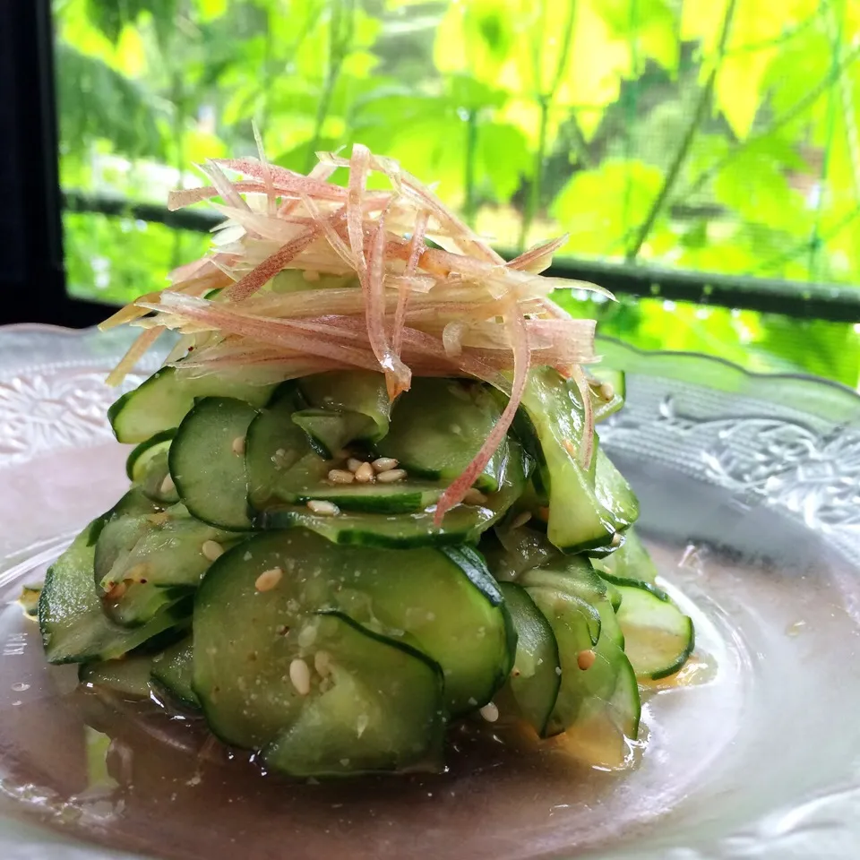 【パクったよ投稿】ま公さんの料理ʕ-̼͡-ʔもみきゅう胡麻茗荷|七海さん