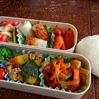 Snapdishの料理写真:7月10日お弁当|みよさん