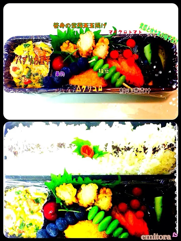 今日のお弁当🍱|femi🌿さん