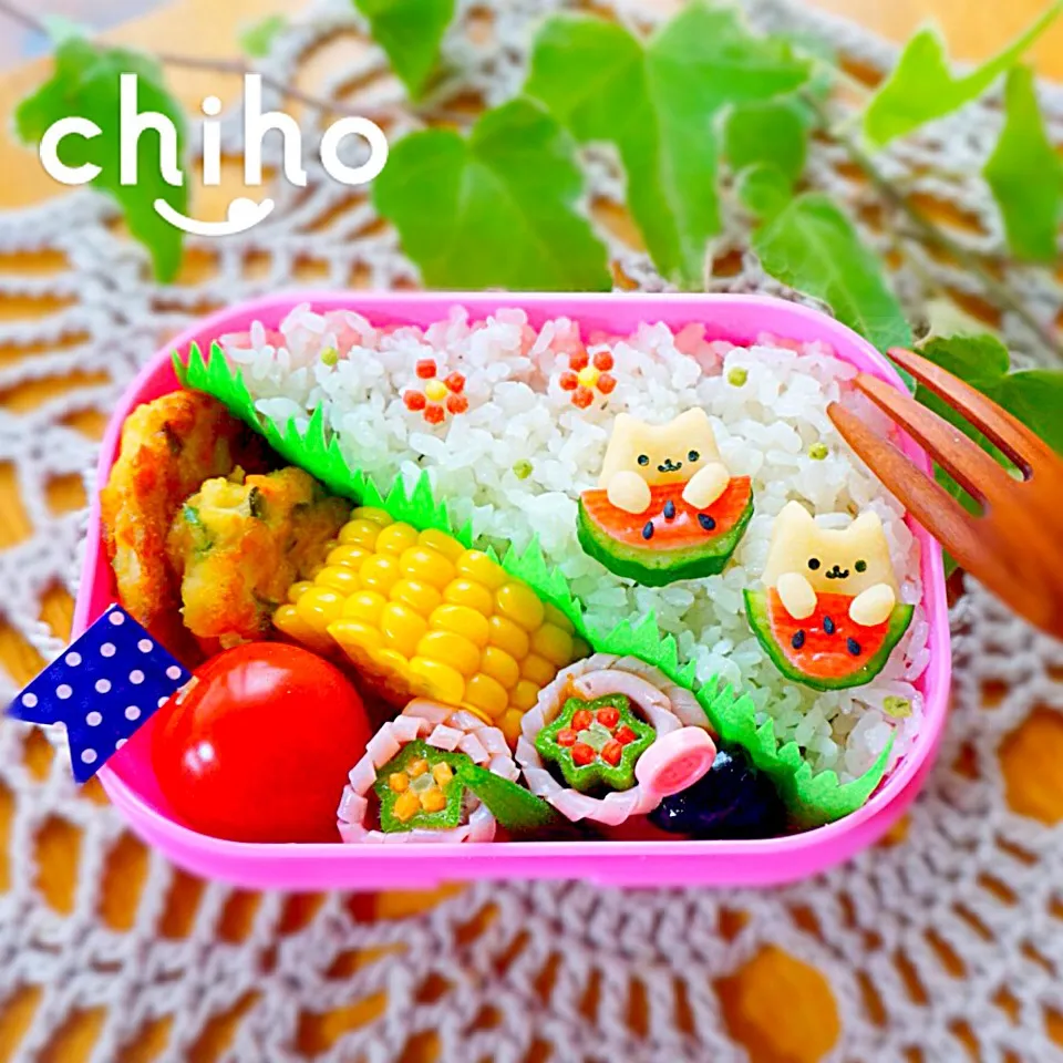 スイカとネコ弁当♡|chihoさん