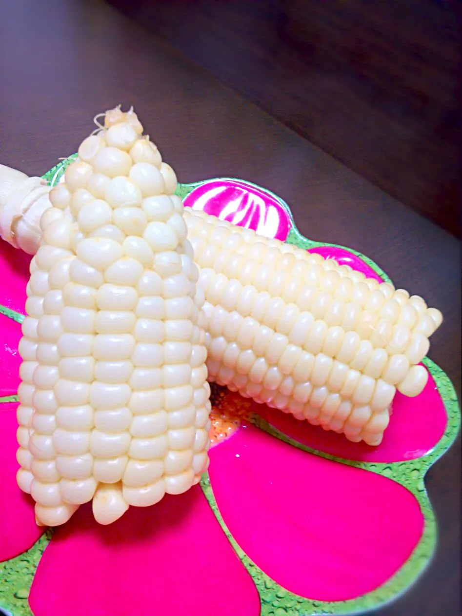 white corn!!|和田 匠生さん