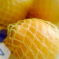 lemons|Terka Chalupováさん