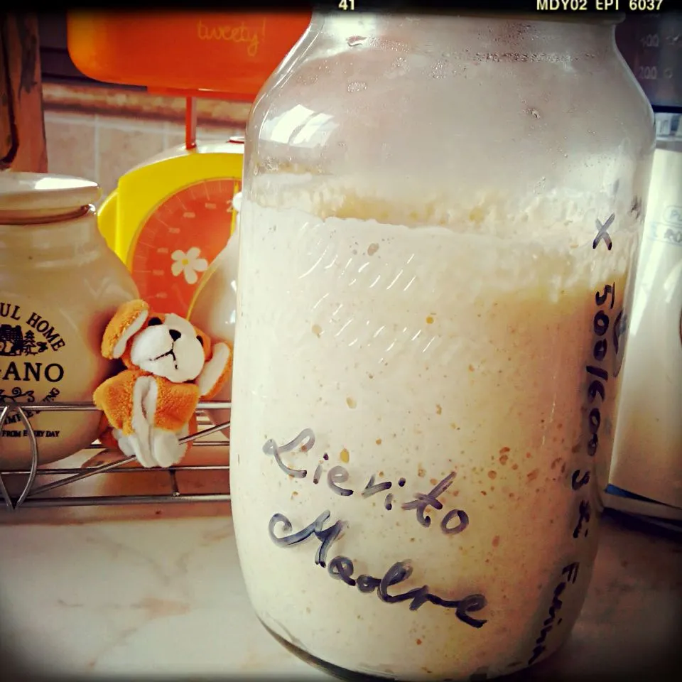 #lievitonaturale #Sourdough|Joanna Rembarzさん