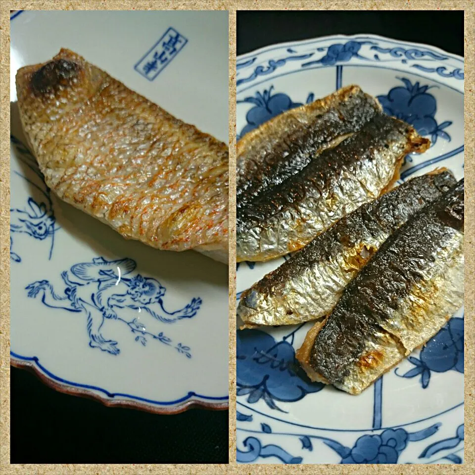 Snapdishの料理写真:🐟のどぐろの塩焼きと🐟鰯の塩焼き食べ比べ✨|がうママさん