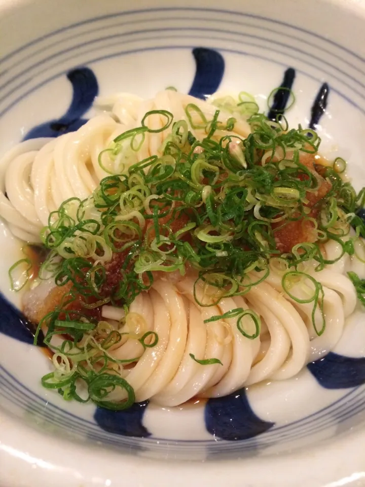 生じょうゆうどん|Meiqiさん