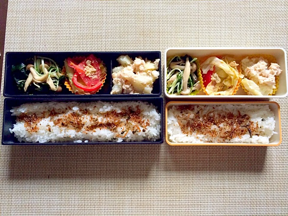 Snapdishの料理写真:本日のお弁当|satchさん