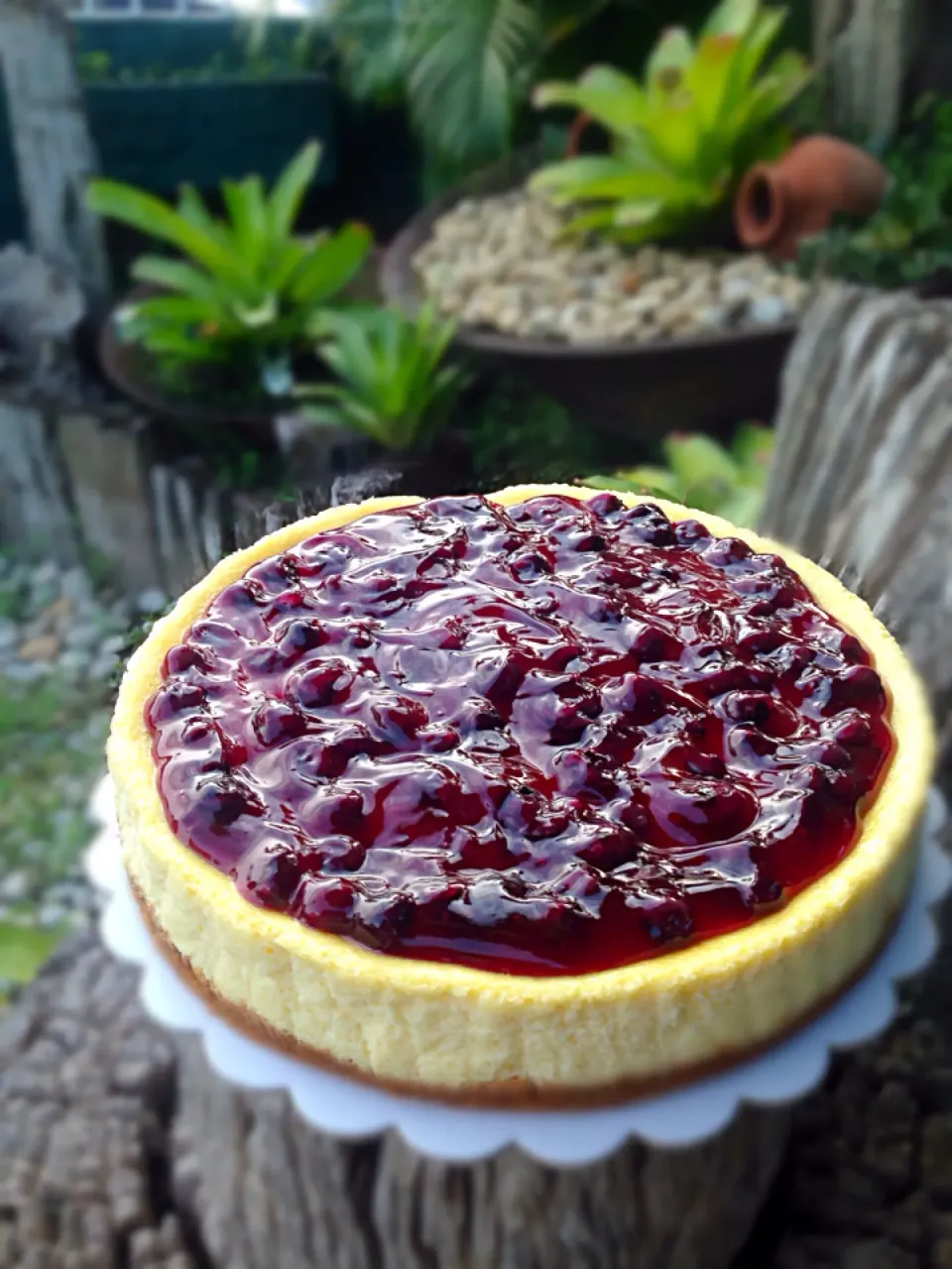 Blueberry Cheesecake|Cru Sunさん