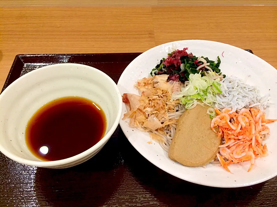 駿河湾の冷やしそば|こんどう かずゆきさん