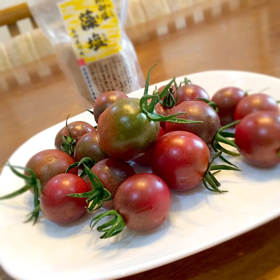 トスカーナ・バイオレット🍅|おかっぴーさん