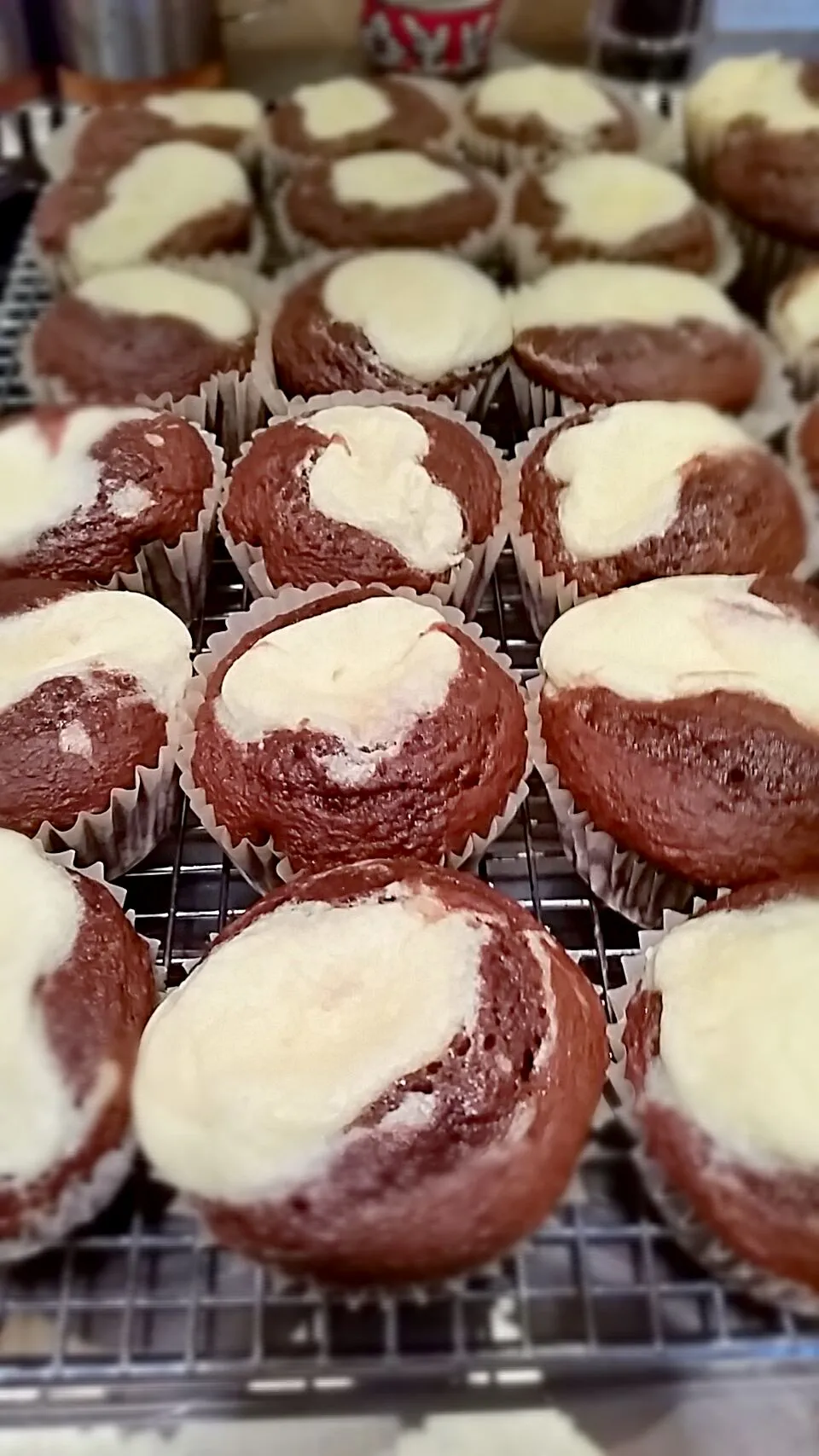 chocolate cream cheese cupcakes|jeffry angeloさん