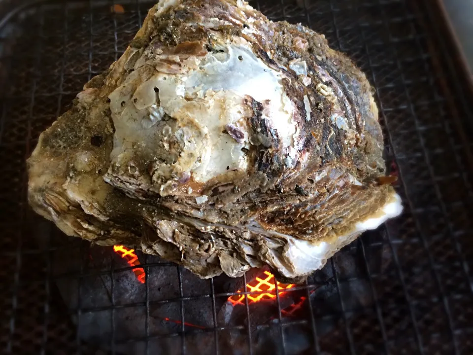 じいじが焼く岩牡蠣|つきっズ料理教室さん