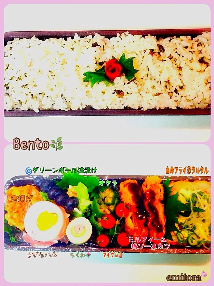 今日のお弁当🍱|femi🌿さん