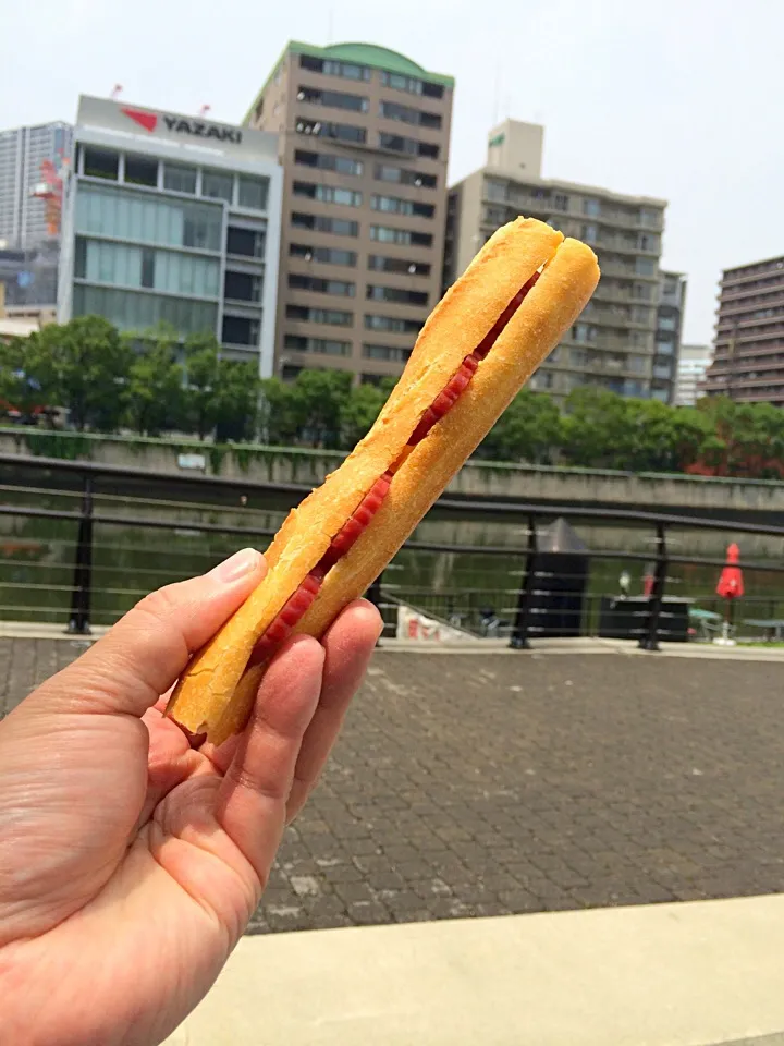 ピクニック・ランチ♬ (▰˘◡˘▰)☝︎|Yoshinobu Nakagawaさん