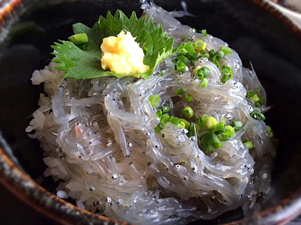 江ノ島の生しらす丼|よしかずさん