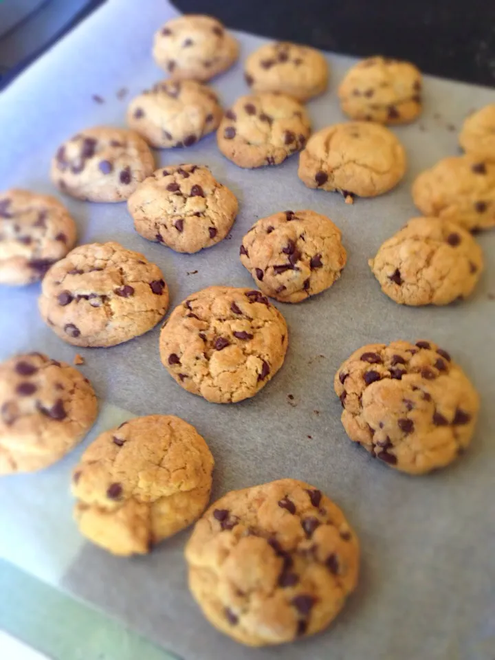 🍪🍪cookies🍪🍪|Sara Derudiさん