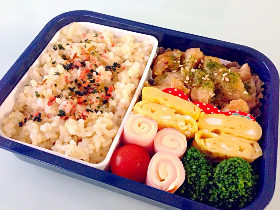 Snapdishの料理写真:ささみの照り焼き弁当|のぞみさん