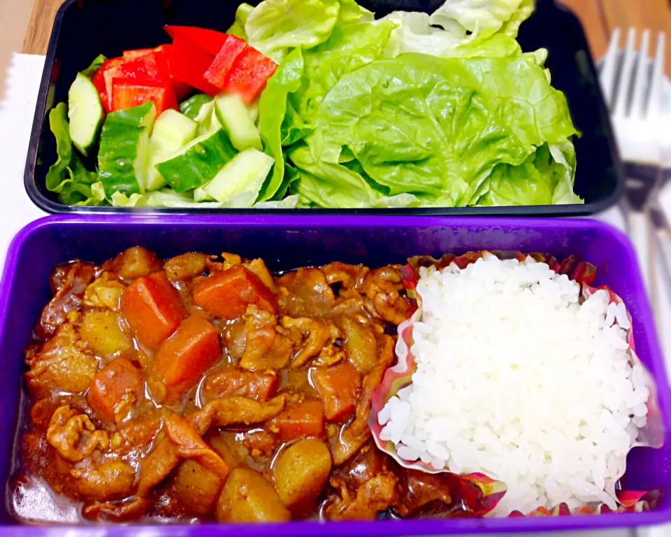 Today's bento - Japanese pork curry with rice and salad|coxiella24さん