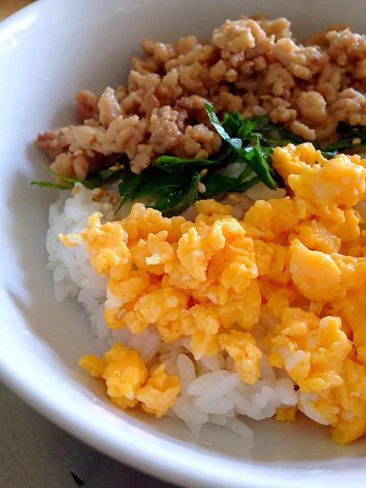 そぼろ丼(∪。∪) ﾁｭｯ☆|さくたえさん