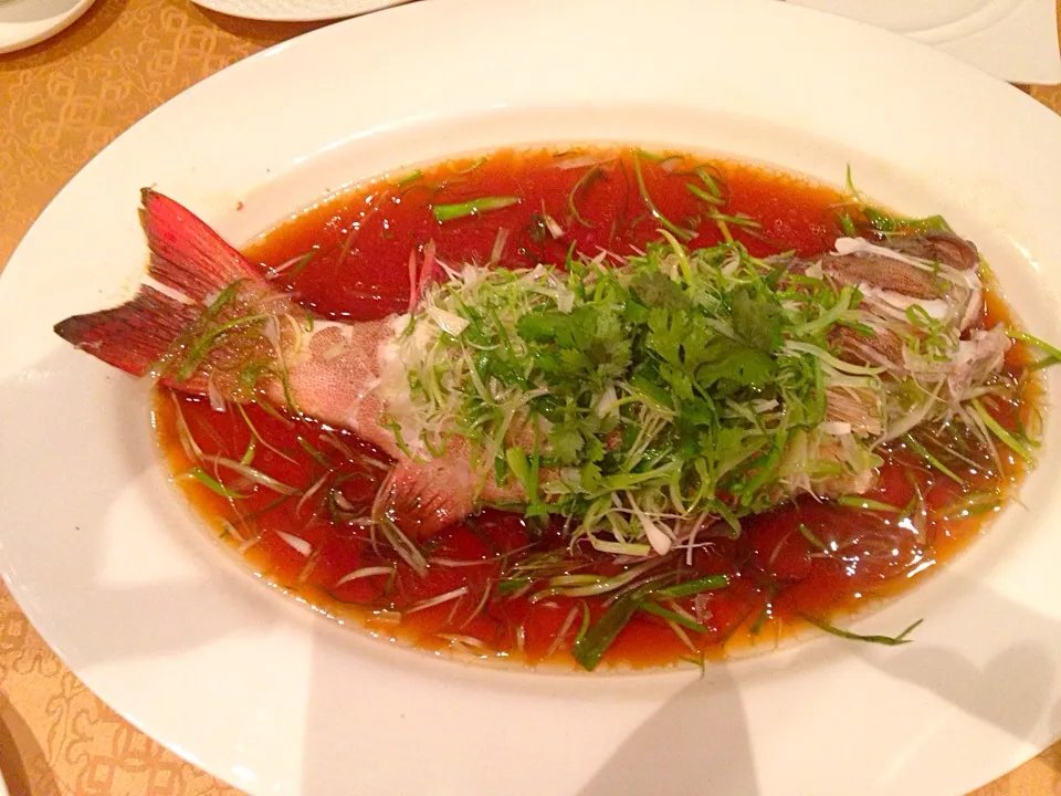 Steamed Red Snapper in soy sauce|Obeoom Jumsai Na Ayudhyaさん