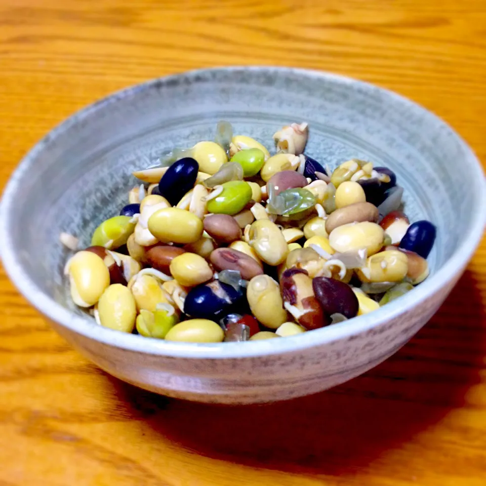 発芽大豆の塩茹で♨︎|ラー山さん