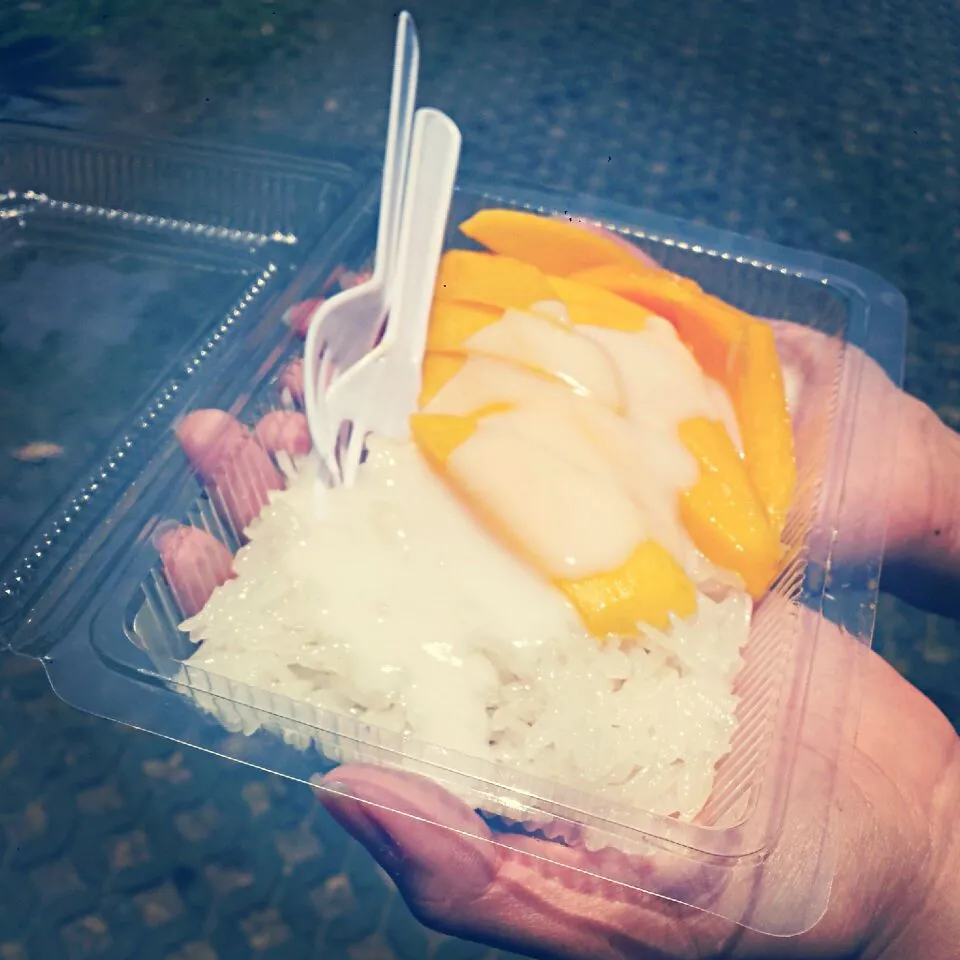 Thailand Mango Sticky Rice at Chatuchak market|genさん