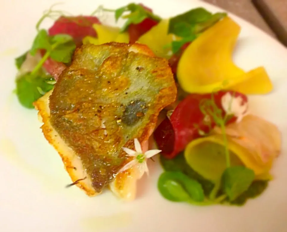 John Dory, beet root, wild garlic|Daniel Archerさん