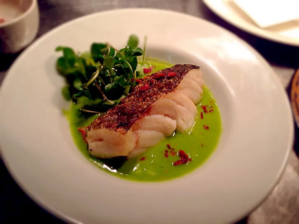 Cod, pea velouté|Daniel Archerさん