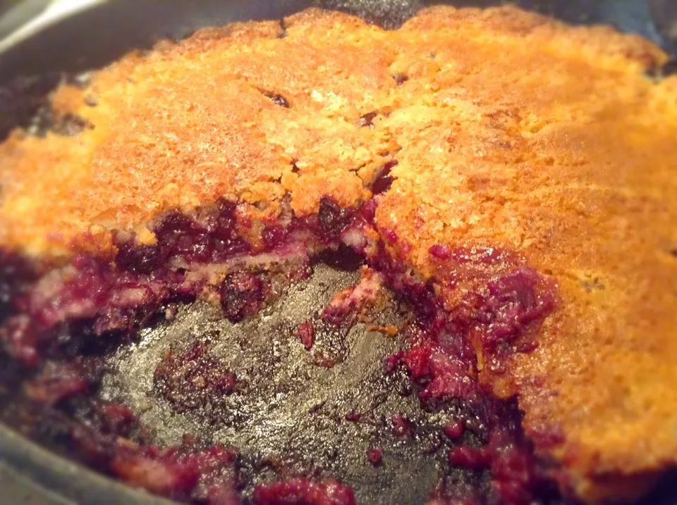 Blueberry Cobbler|melissaz73さん