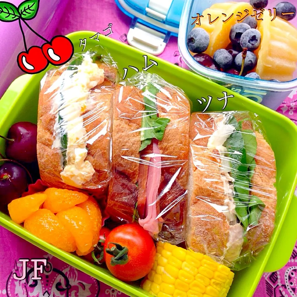 バゲットで3種のサンドイッチ弁当☆ゼリー付き(⊹＾◡＾)ノo.♡ﾟ｡*|Blueberry🫐さん