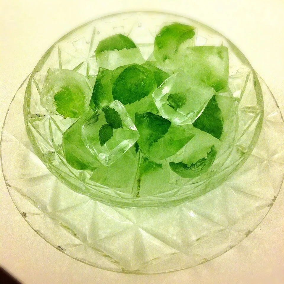 Mint ice cubes|Yuriさん