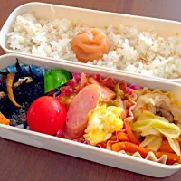 Snapdishの料理写真:7月16日 お弁当|みよさん