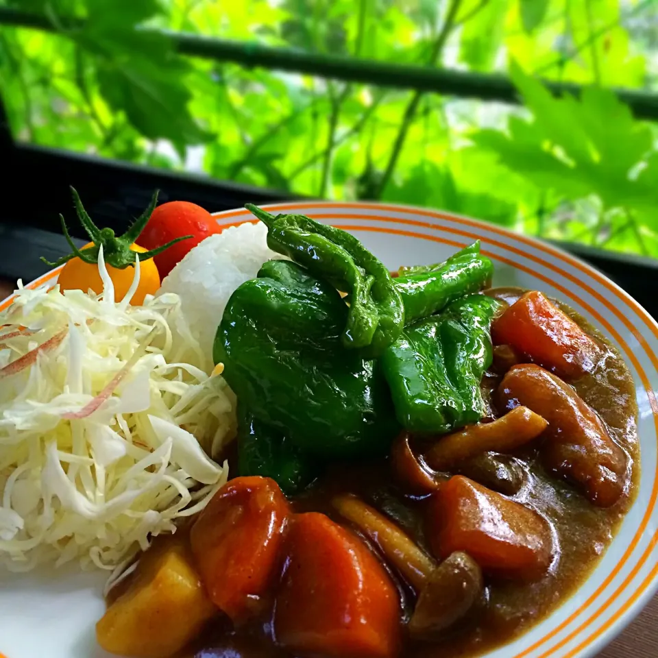 普通のカリー🍛ʕ-̼͡-ʔピマーン・シシトー岩塩グリールのっせʕ-̼͡-ʔきゃべつ・トマト添えʕ-̼͡-ʔ|七海さん