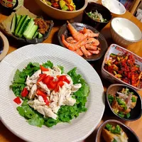 夕食のメインはパクチーと、蒸し鶏のサラダ|パピランさん