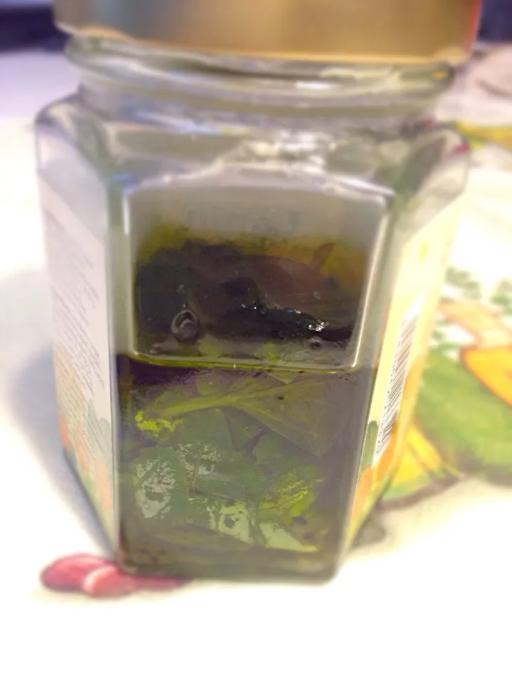 バジルのオイル漬け|Casa de fraterさん