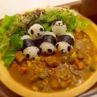 Panda curry|rooboocooさん