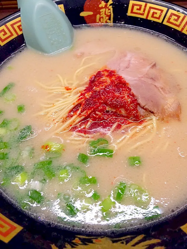 一蘭のラーメン〜|のんきーもんきーさん