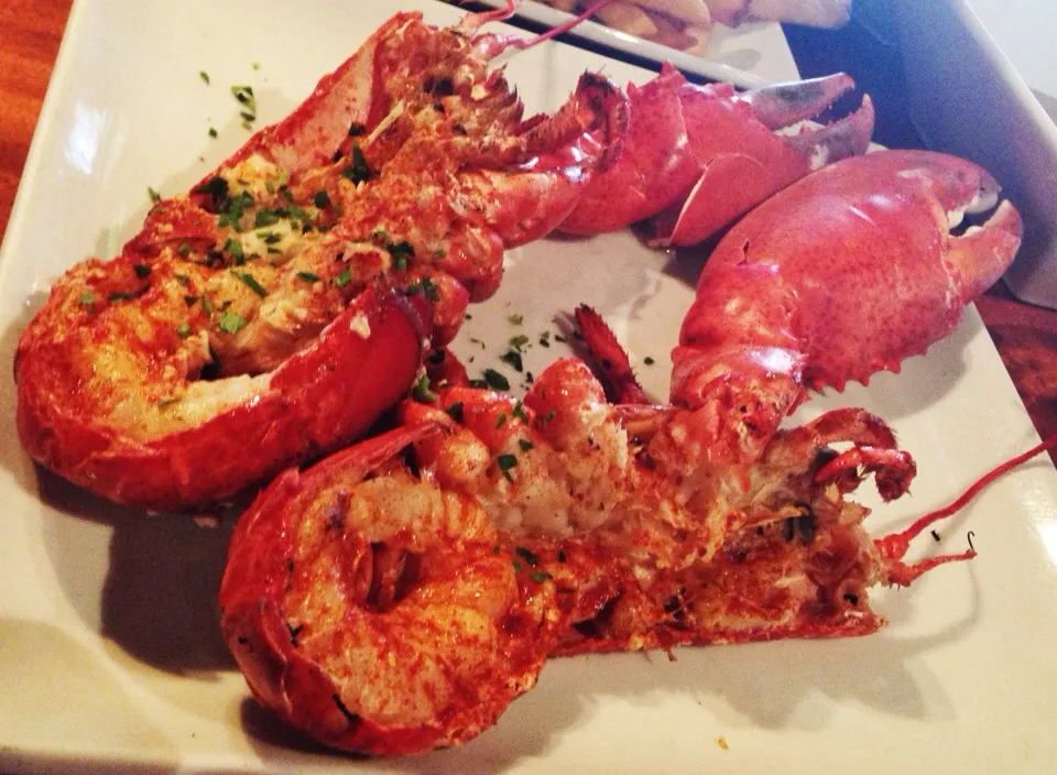 American Lobster! Fantastic!!!|たけうちさん