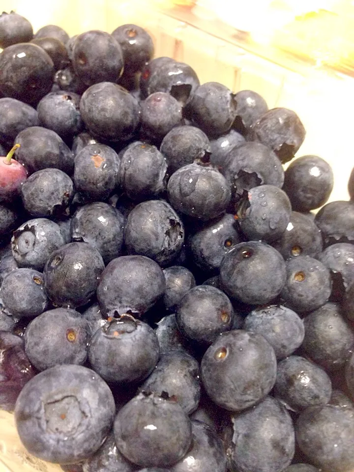 Heaps of blueberries! Yay! 大好きなブルーベリー(^_−)−☆|Tanuさん