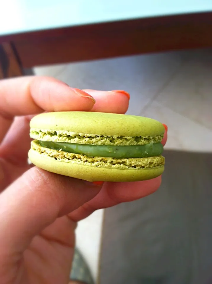 Pistachio Macaron|Juliee ~ ジュリーさん