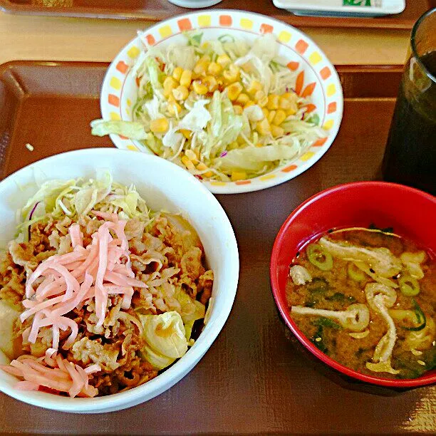 Snapdishの料理写真:すき家の牛丼ライト|ふみぃさん