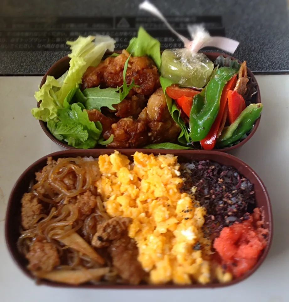 娘の弁当 五色丼（明太子 しらたき煮 豚卵そぼろ 黒ゴマ ゆかり）ピーマン炒め 唐揚げ サラダ キュウイ砂糖漬 0422|まった ゆうゆうさん