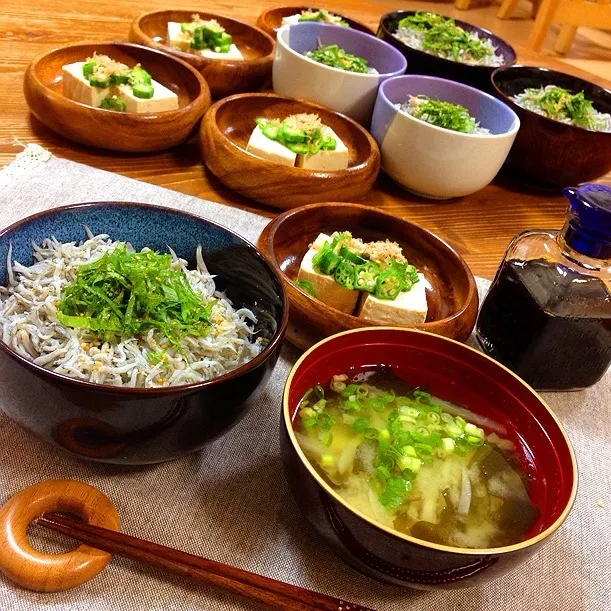 釜揚げしらす丼！|＊Haruna＊さん