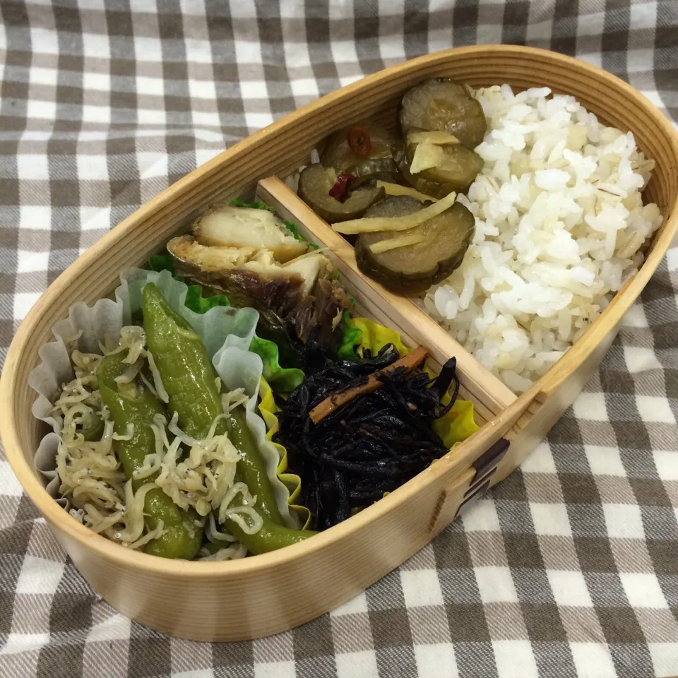 弁当（サバ塩焼き、ししとうとジャコの炒め煮、ひじき、キュウリ醤油漬け）|SasaMasa213さん