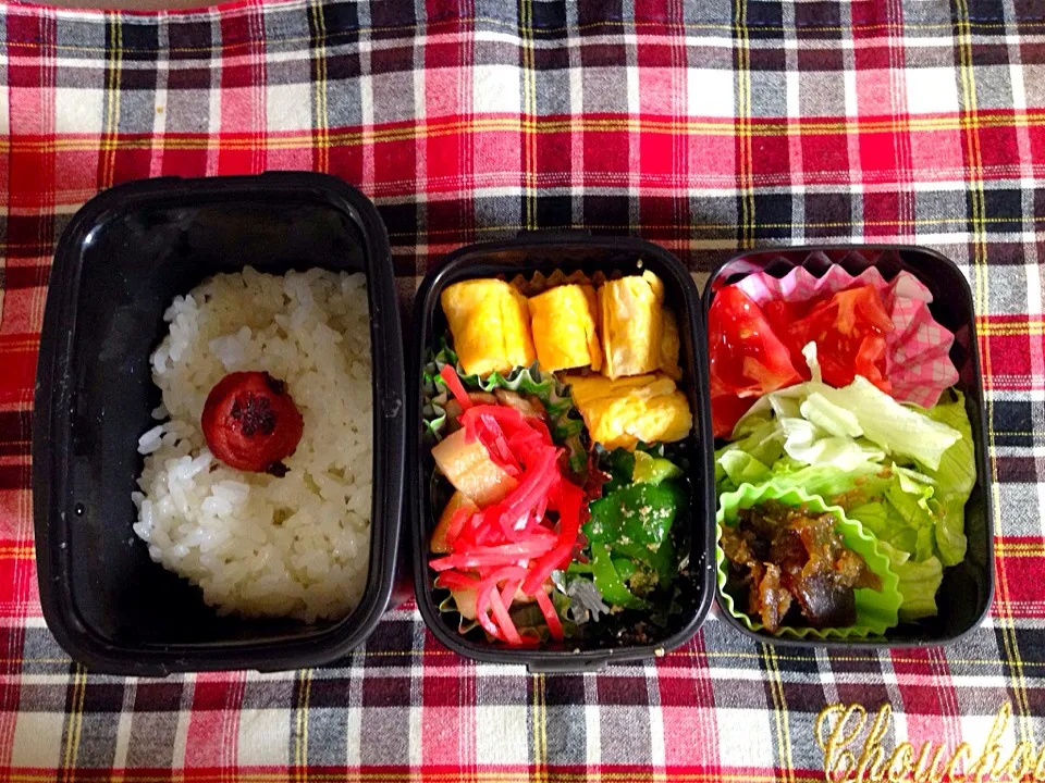 7月21日お弁当|かえるさん